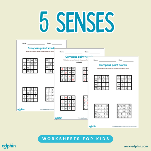 5 Senses Worksheet Practice Worksheet