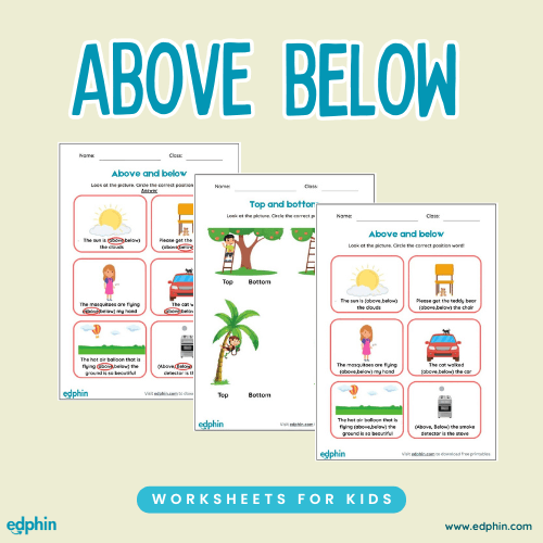 Above & Below Position Worksheet