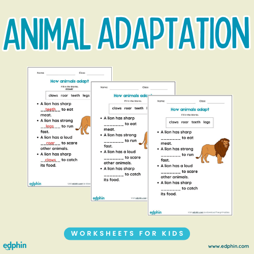 Animal Adaptation Printable For Kids