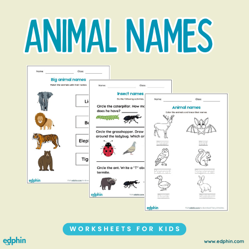 Animal Names Printable For Kids