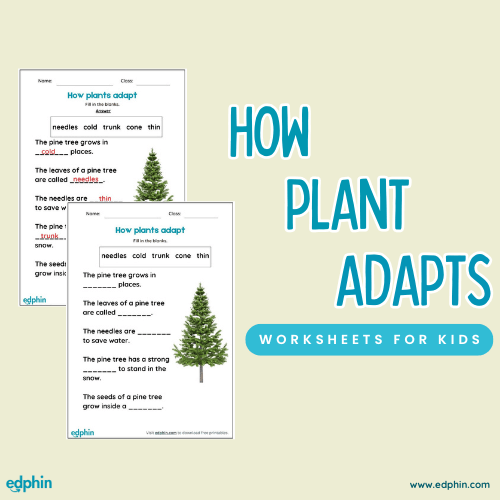 How Plants Adapt Printable For Kids