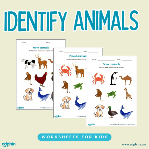 Identify Ocean, Forest And Farm Animals Printable For Kids