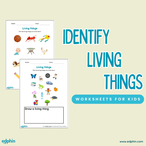 Identify Living Things Printable For Kids