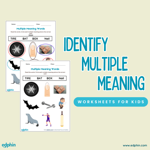 Identify Multiple Meaning Words Worksheet