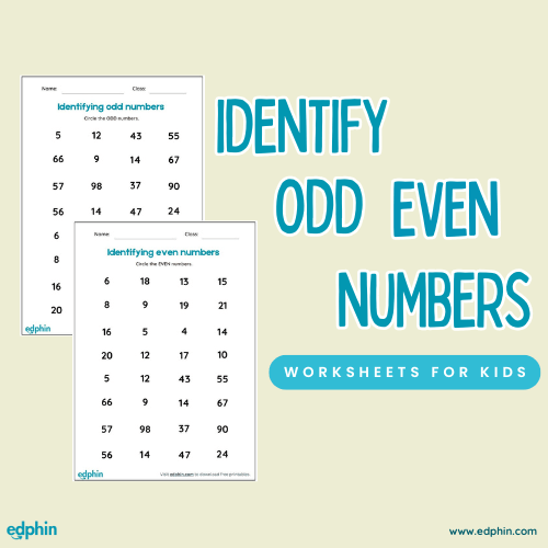 Identify Odd & Even Number Worksheet