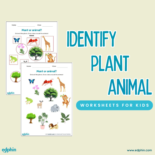 Identify Plants Vs Animals Printable For Kids