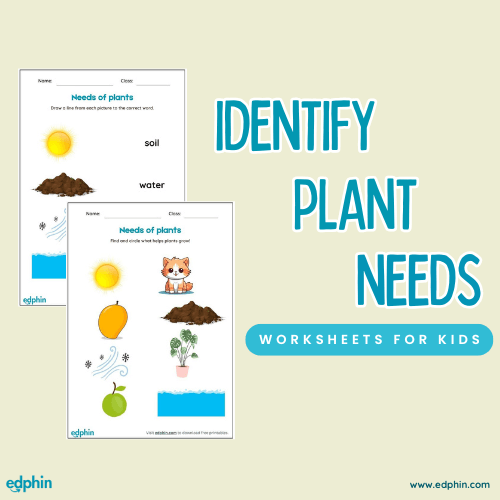 Identify Needs Of Plants Printable For Kids