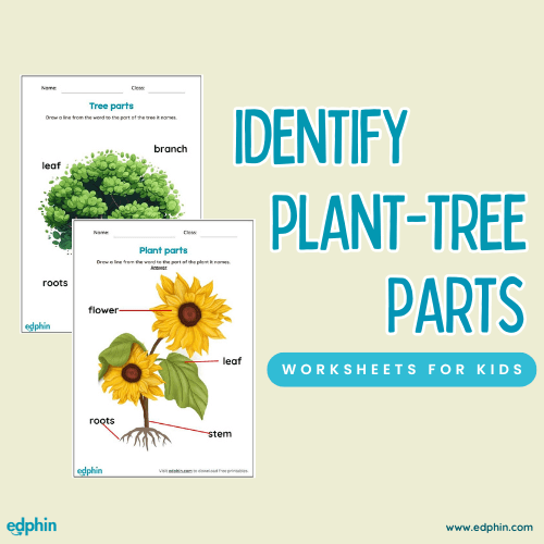 Identify Parts Of Plant & Tree Printable For Kids