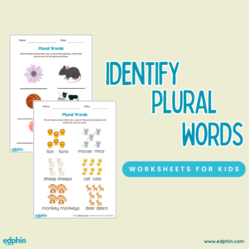 Identify Plural Words Worksheet