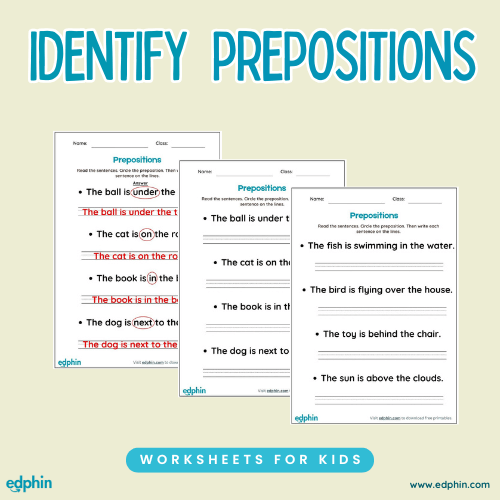 Identify Prepositions In Sentences Worksheet
