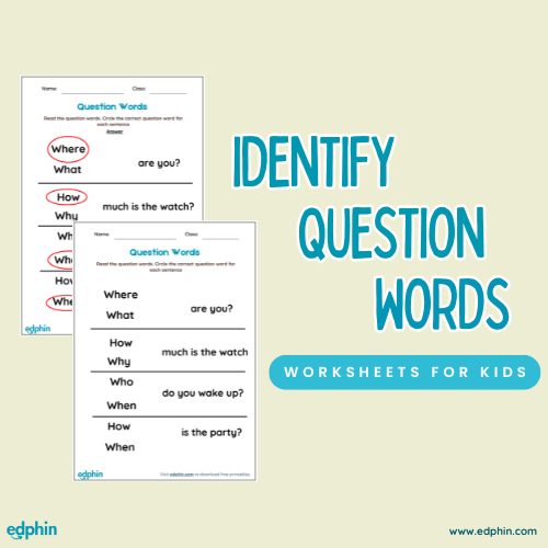 Identify Question Words printable for kids