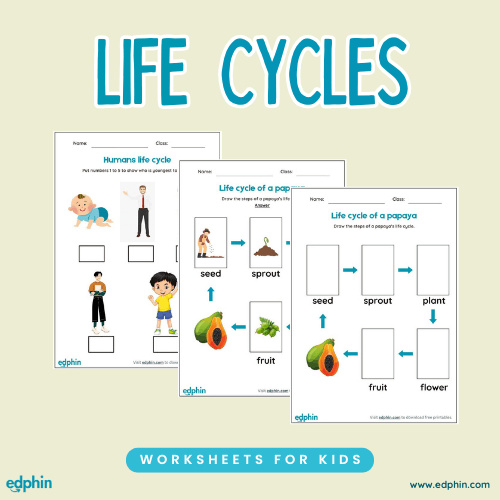 Life Cycles Printable For Kids