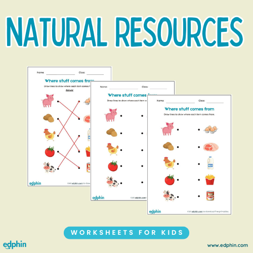 Natural Resources Worksheet