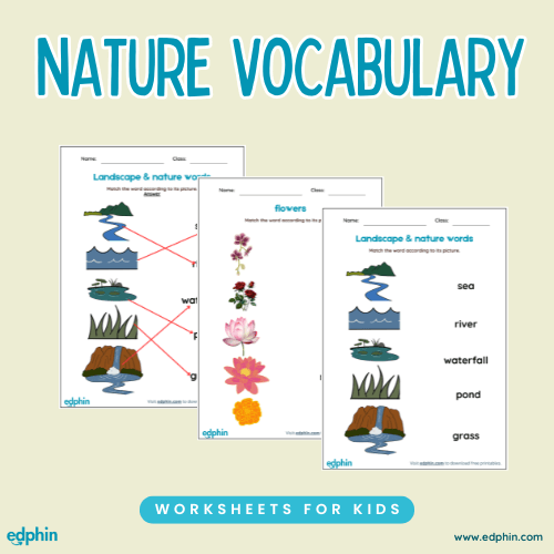 Nature Vocabulary Cards Printable For Kids