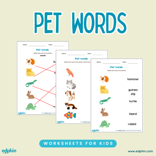 Pet Words Practice Worksheet