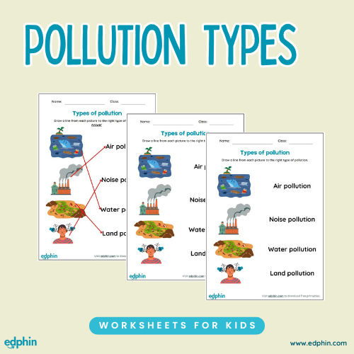 Types Of Pollution Worksheet