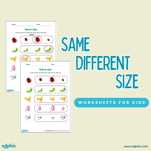 Same vs Different Size printable for kids