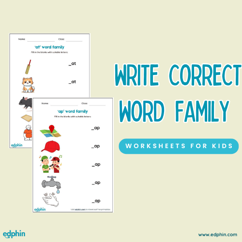Fill The Blanks By Correct Word Family Cards Printable For Kids
