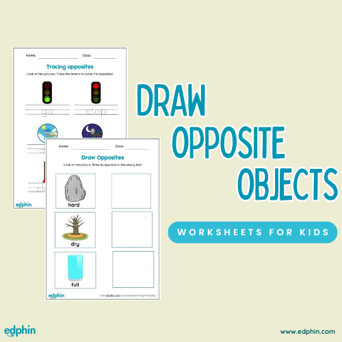 Draw Opposite Object Worksheet