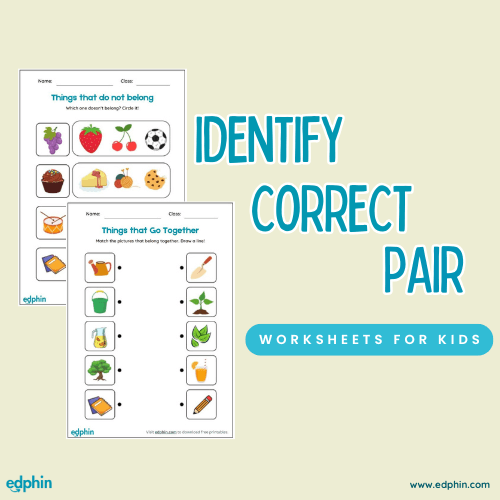 Identify the Correct Pair Worksheet