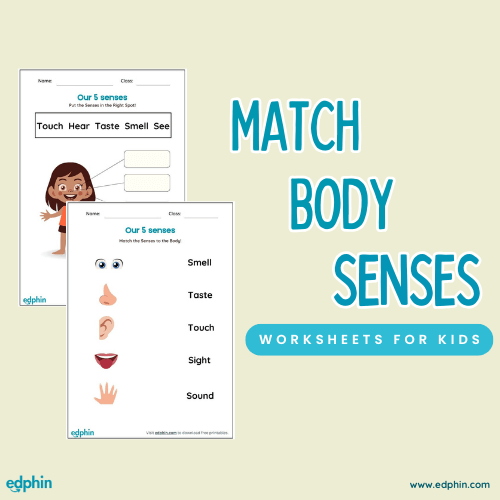 Match 5 Senses To Body Parts Worksheet