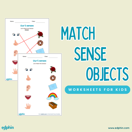 Match 5 Senses To Objects Worksheet