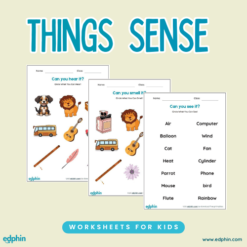 Things I Can Sense Worksheet