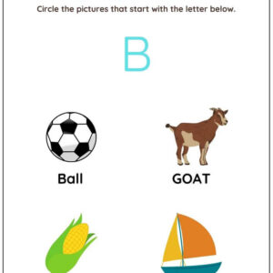 Circle The Beginning Consonant Words Worksheet With Answer