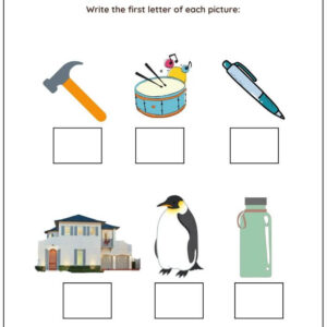 Write The Beginning Sound Worksheet With Answer