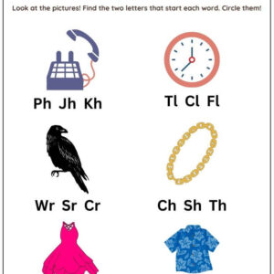Circle The Beginning Consonant Blend Worksheet With Answer