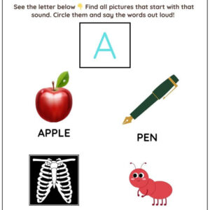 Circle The Beginning Vowel Words Worksheet With Answer
