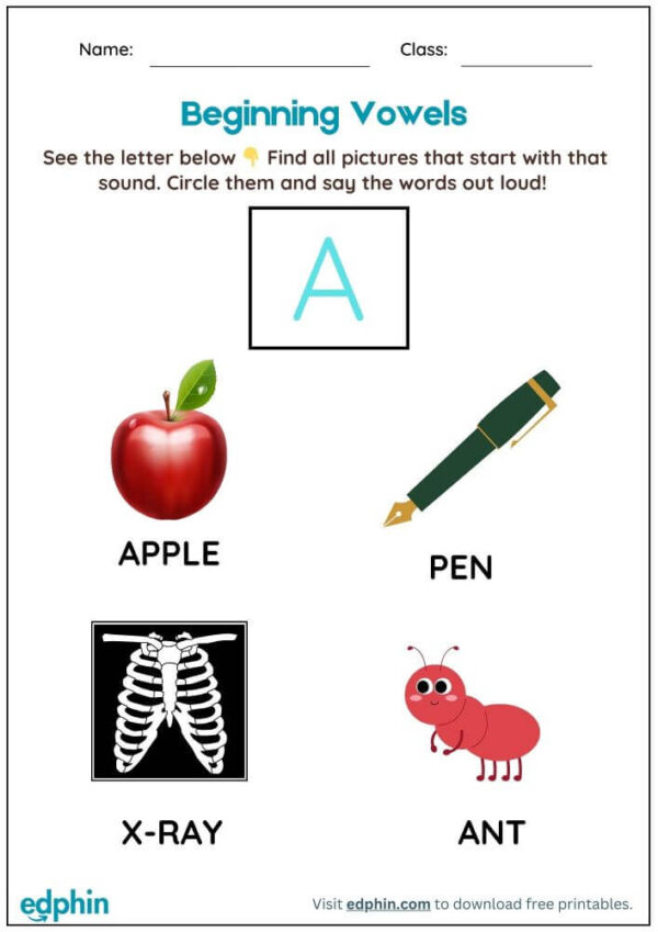 Circle The Beginning Vowel Words Worksheet With Answer