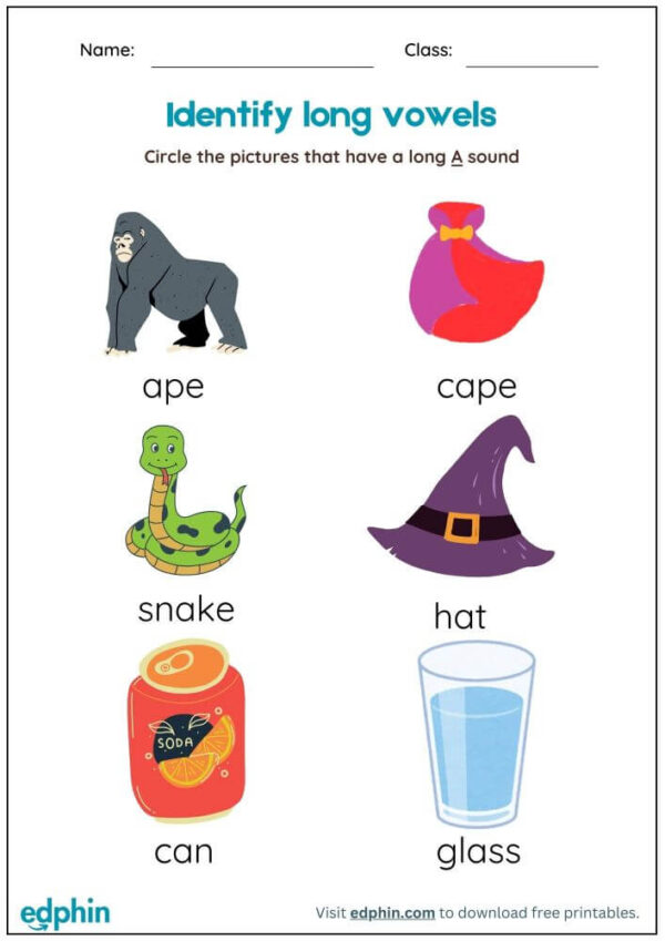 Circle The Long Vowel Sound Worksheet With Answer