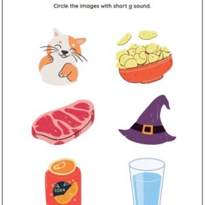 Circle The Short Vowel Sound Worksheet With Answer