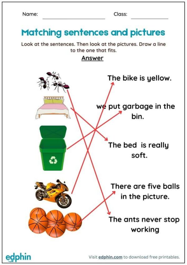 Match The Sentences And Pictures Worksheet For Kids - Image 3