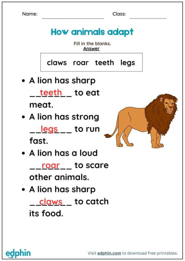 Animal Adaptation Worksheet With Answers - Image 3
