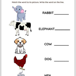 Animal Words: Missing Letter Worksheet With Answer