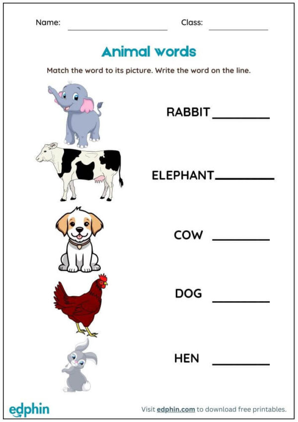 Animal Words: Missing Letter Worksheet With Answer