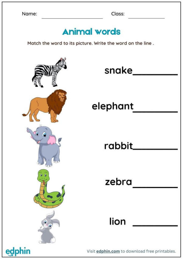 Animal Words: Missing Letter Worksheet With Answer - Image 3