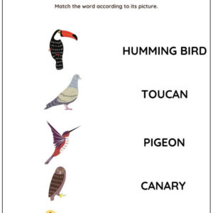 Animal Vocabulary: Match Words With Pictures Worksheet With Answers