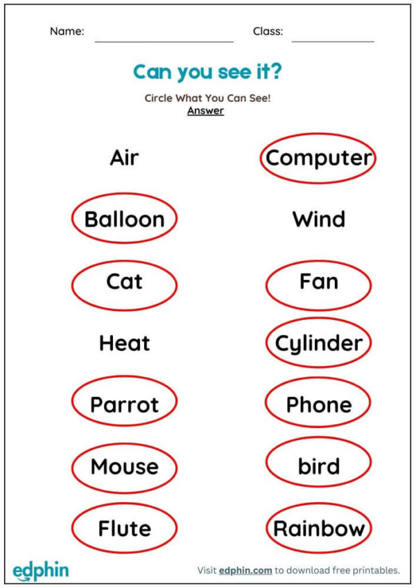 Things I Can Sense: Find And Circle Worksheet With Answers - Image 3