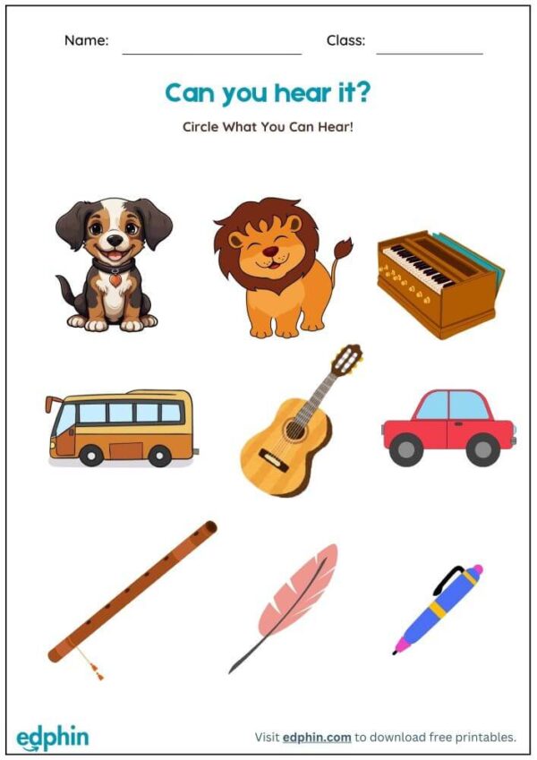 Things I Can Sense: Find And Circle Worksheet With Answers