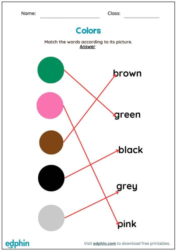 Color Vocabulary: Match Words With Pictures Worksheet With Answers - Image 3