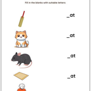 Fill The Blanks By Correct Word Family Worksheet With Answer