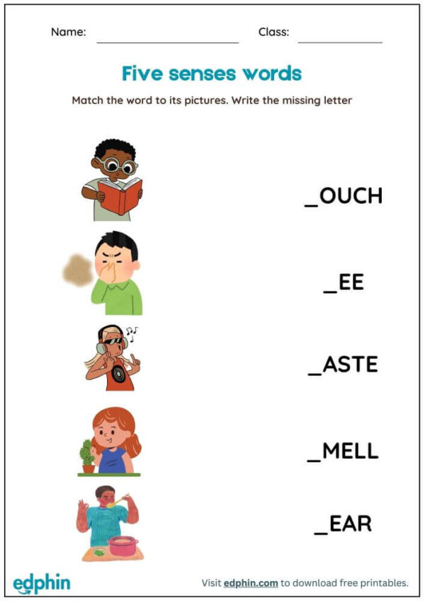 5 Senses Worksheet : Match Words with Picture Worksheet With Answer