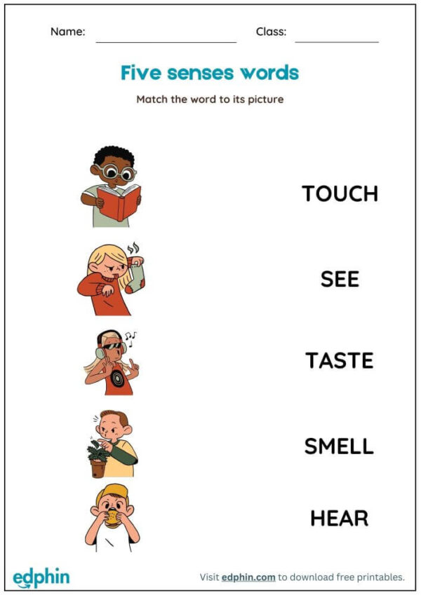 5 Senses Worksheet : Match Words with Picture Worksheet With Answer - Image 2