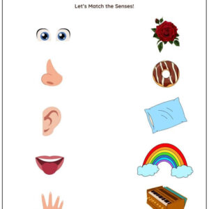 Match 5 Senses To Objects Worksheet With Answers