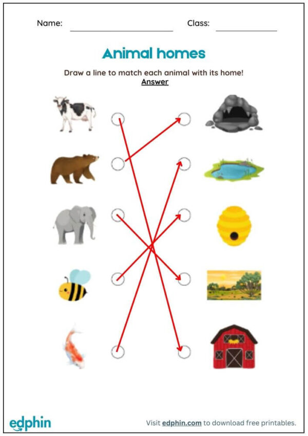 Animal Houses Matching Activity Worksheet With Answers - Image 3