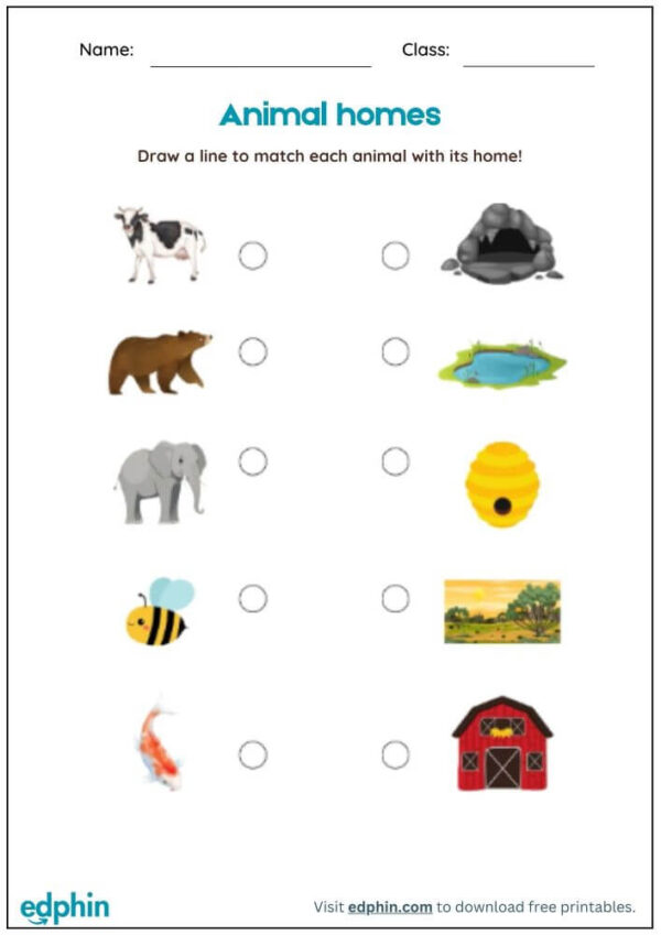 Animal Houses Matching Activity Worksheet With Answers - Image 2