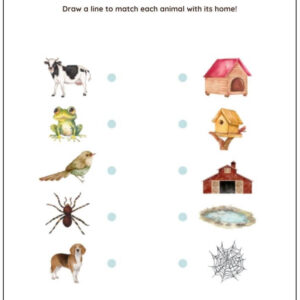 Animal Houses Matching Activity Worksheet With Answers